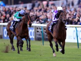Magna Grecia too hot for Gosden?