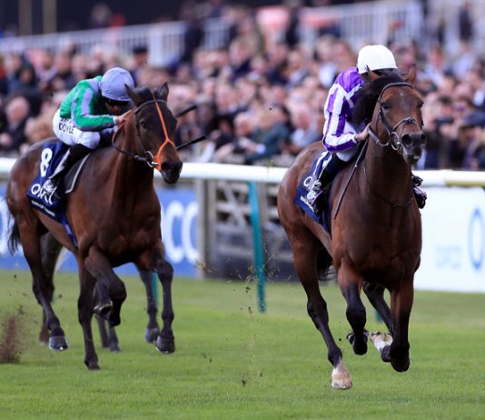 Magna Grecia too hot for Gosden? Magna Grecia too hot for Gosden?