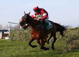 Tiger Roll out to prove fitness ahead of National