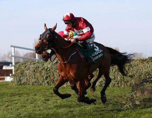 Tiger Roll out to prove fitness ahead of National