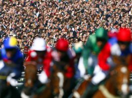 Atkinson’s 14 horse winning accumulator BOOKIES HIT FOR 6 AS GROWL BITES!