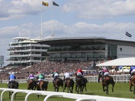 fromthehorsesmouth.tips 9 horse 3,214-1 accumulator fromthehorsesmouth.tips had a 21-1 double at Epsom's 2019 Derby meeting