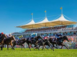 Phoenix Of Spain to rise against Too Darn Hot?