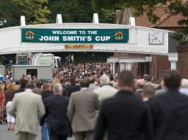 MOUNTAIN ANGEL TO RISE TO THE OCCASION AT YORK