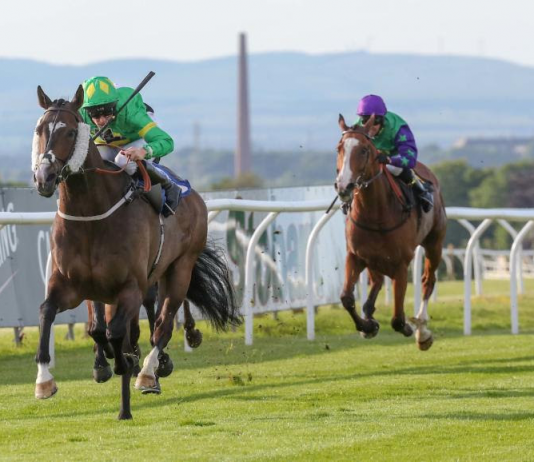 Kelly’s Dino 14-1 wins Haydock Park Old Newton Cup Kellys Dino: Image supplied by The Jockey Club