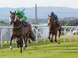 7 meetings, 49 races. Haydock. Sandown. Nottingham. Beverley. Leicester. Carlisle. Chelmsford. Kelly's Dino winning at Carlisle in 2018