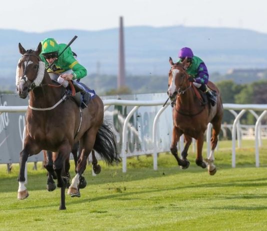Kelly's Dino winning at Carlisle in 2018