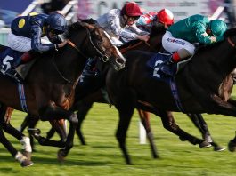 ESCOBAR 11-4 fromthehorsesmouth.tips Nap wins at York