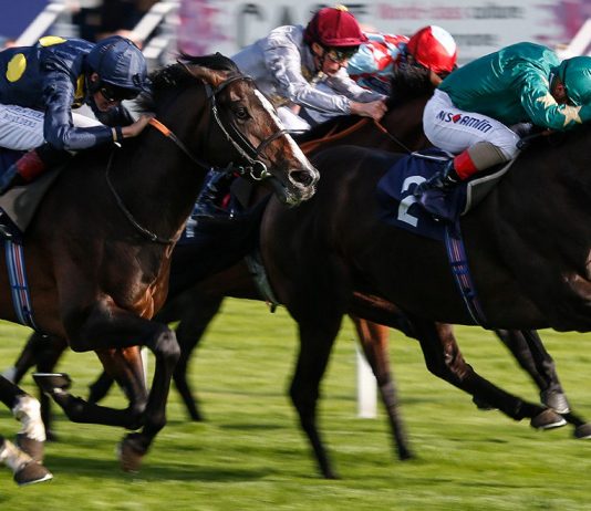 ESCOBAR 11-4 fromthehorsesmouth.tips Nap wins at York ESCOBAR 11-4 fromthehorsesmouth.tips Nap wins at York