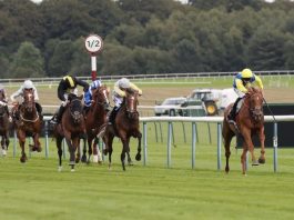 Teodoro winning the Rose of Lancaster Stakes in 2018.