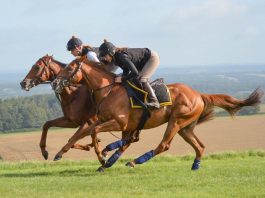 ATKINSON HITS BOOKIES FOR SIX! *Andrew Atkinson's fromthehorsesmouth.tips No.1 tipster of The Turf!