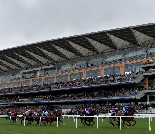 IT MUST BE LOVE! Ascot Racecourse