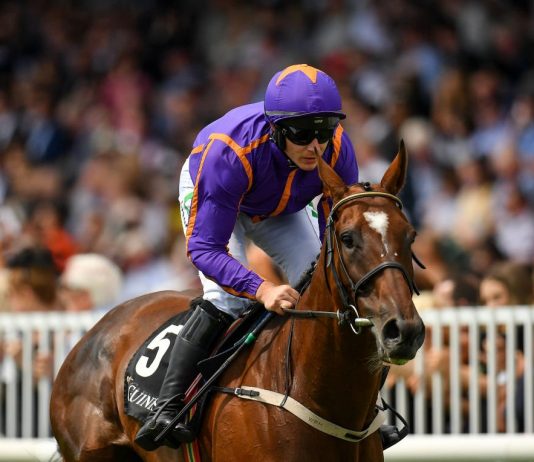 Tragic death of Wicklow Brave in American Grand National