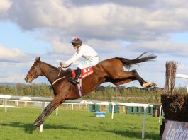 Life is a Cabaret for Mullins Cabaret Queen attempts Ladbrokes Trophy glory