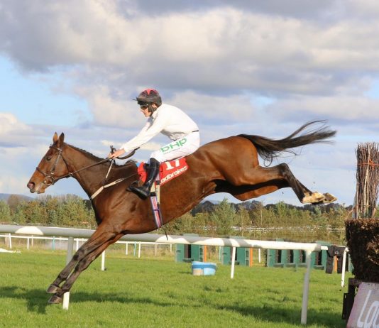 Life is a Cabaret for Mullins Cabaret Queen attempts Ladbrokes Trophy glory