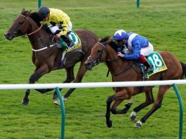 Lord North and Frankie Dettori win the bet365 Cambridgeshire - back in action at Lingfield.