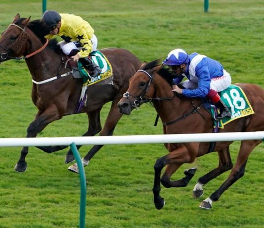 GOOD LORD! Lord North and Frankie Dettori win the bet365 Cambridgeshire - back in action at Lingfield.