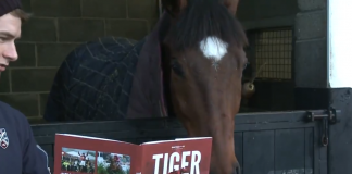 Tiger Roll - 8-1 to win three consecutive Grand Nationals.