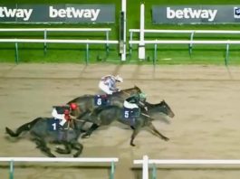 Shine Baby Shine, beaten a neck by Bodacious Name at Southwell - with The Resdev Way, third.