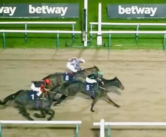 Shine Baby Shine, beaten a neck by Bodacious Name at Southwell - with The Resdev Way, third.