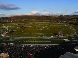 CLONDAW CASTLE CHELTENHAM GOLD Cheltenham Racecourse