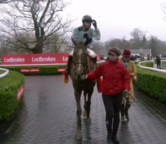 Commanche Red was a winning selection