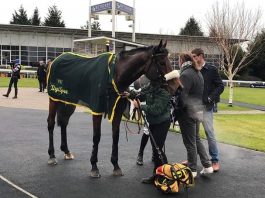 PHIL YER BOOTS! Reyna's World trained by Philip Kirby.