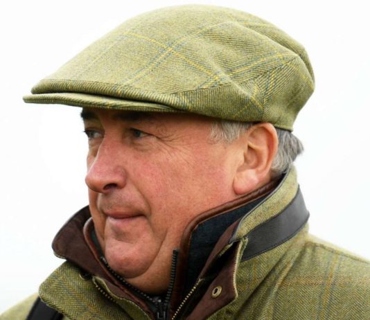 Nicholls Boxing clever! Should Ascot survive their second inspection Trainer Paul Nicholls has a number of runners that could make it another memorable day for the champion trainer