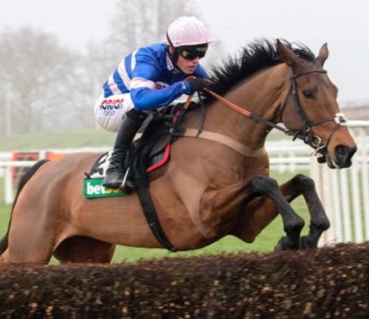 HAPPY NEW YEAR! Philip Hobbs trained headlined tip Thyme Hill remains unbeaten over hurdles