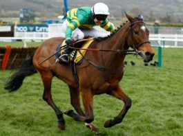 Defi Du Seuil Cheltenham Champion Chase against Altior looms
