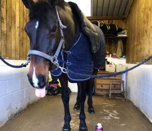 Happy Diva delighted with her new shoes