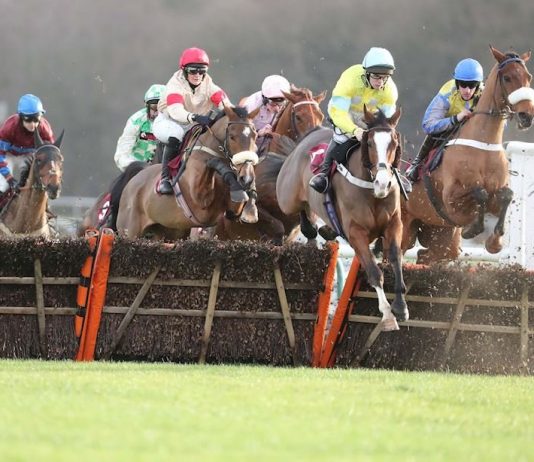 Cornerstone Lad - in great form says trainer Micky Hammond.