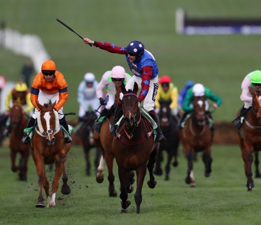 Paisley Park a 'special, special' horse