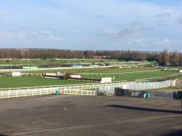 Ask Ben and Bold Plan to shine at Sandown Park Ask Ben and Bold Plan to shine at Sandown Park