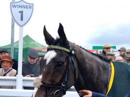 Kirby trained Little Bruce wins North Yorkshire Grand National Little Bruce: North Yorkshire Grand National win at Catterick, under Tommy Dowson.