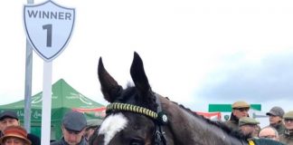 Little Bruce: North Yorkshire Grand National win at Catterick, under Tommy Dowson.