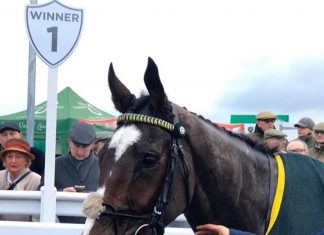 Little Bruce: North Yorkshire Grand National win at Catterick, under Tommy Dowson.