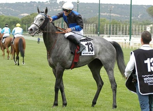 Winfola has a tricky race, in trying to beat Dark Lochnagar, who is also a classy flat horse, and the likely short priced favourite