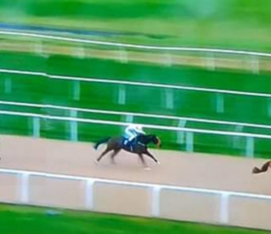 Ben Curtis romps home on Ice Pyramid at Newcastle to complete 7,835-1 Super Heinz.