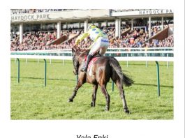 Each way selection Yala Enki