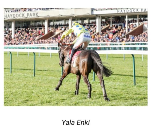 Each way selection Yala Enki