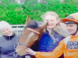 8-1 tip ‘Dude’ Goring Lingfield win Goring storms to victory at Lingfield Park.