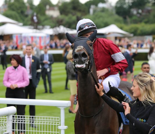 Jockey Rob Hornby, who has come through the Andrew Balding Academy