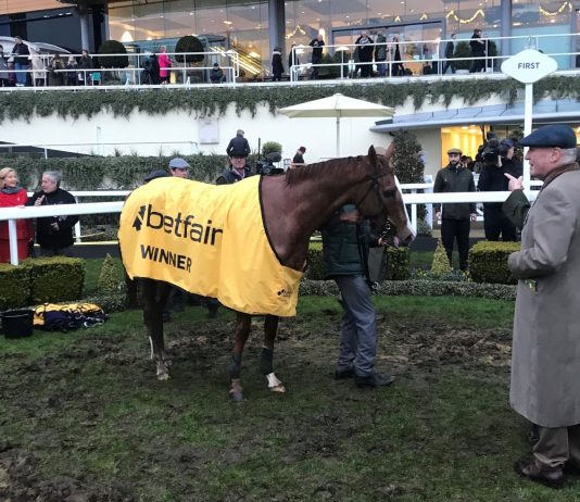 Oakley, Not So Sleepy and Never Adapt eye Newbury Betfair Hurdle Not So Sleepy is tipped each-way at 6-1