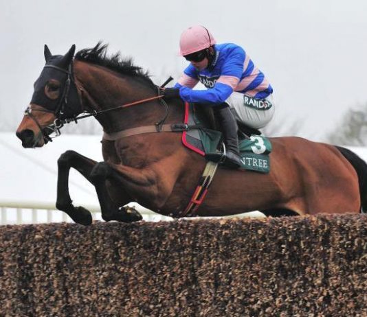 In the ‘Nic’ of time! Paul Nicholls trained Cyrname