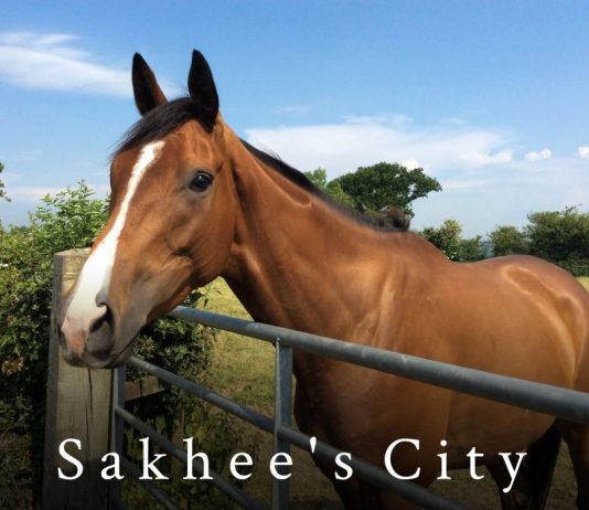 With career wins at Wetherby, Newcastle and Catterick, Sakhee's City, with Tommy Dowson up, is worthy of each way support.