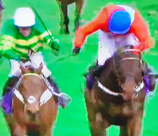 Champ gets up to land the RSA Insurance Novices' Chase.