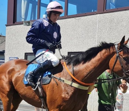 THE PADDY PIE TO EARN PUNTERS A CRUST! The Paddy Pie: Tipped to win at Newcastle under Danny Cook.