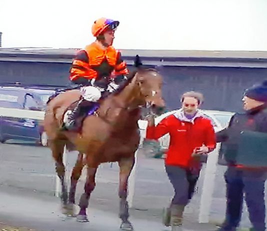 THURLES Review – JETZ (3-1) FLIES IN!