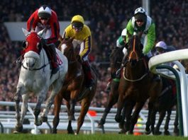 WHO DARES WINS – CHELTENHAM FESTIVAL DAY 1 CHELTENHAM FESTIVAL DAY 1
